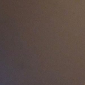 Meet your Posher, Bianca